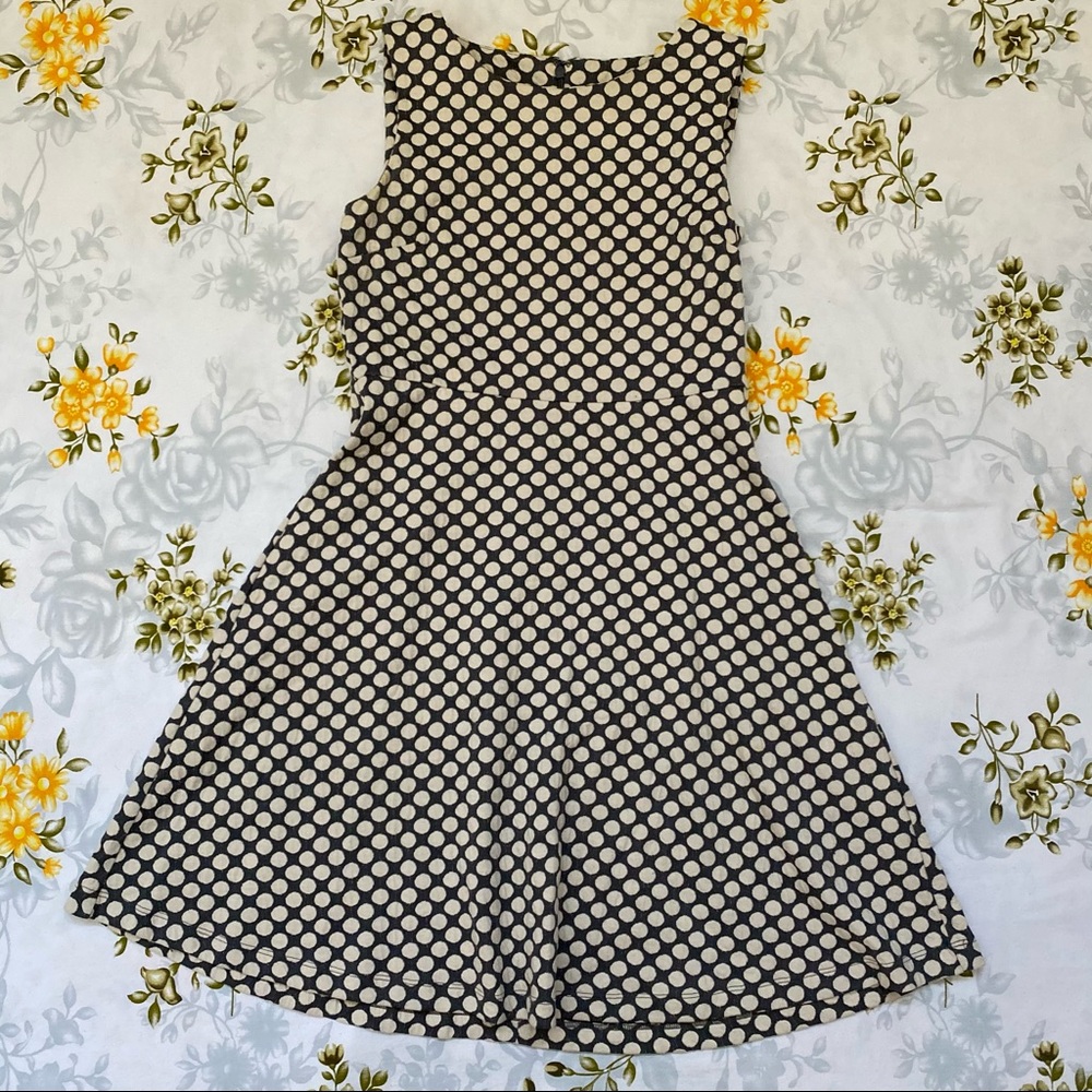 Talbots Size MP Cream & Navy Polka Dot Dress